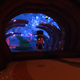 Illustration for article titled A Hat in Time - Alpha Trailer + New Pictures